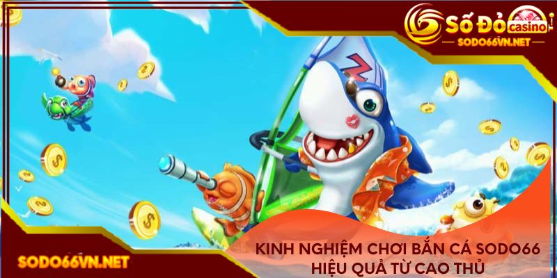 Kinh nghiệm chơi bắn cá hiệu quả từ cao thủ