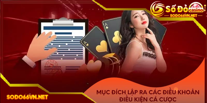 Mục đích lập ra các điều khoản điều kiện cá cược