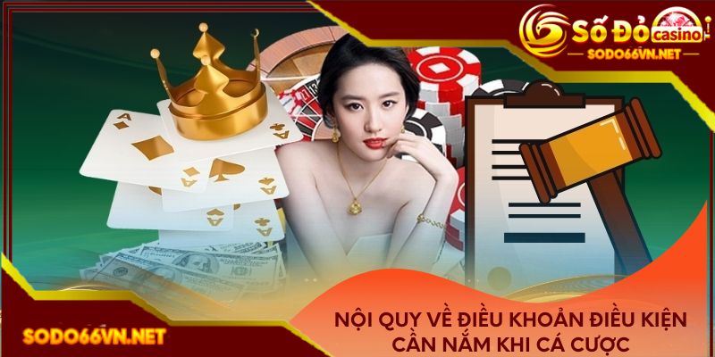 Nội quy về điều khoản điều kiện cần nắm khi cá cược